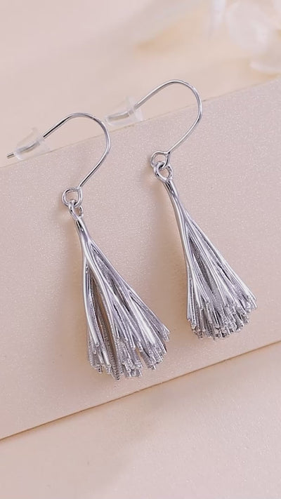 Video of the Palpae Tassel Earrings