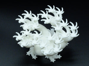 Squiggle Table