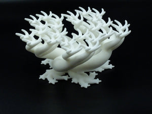Squiggle Table